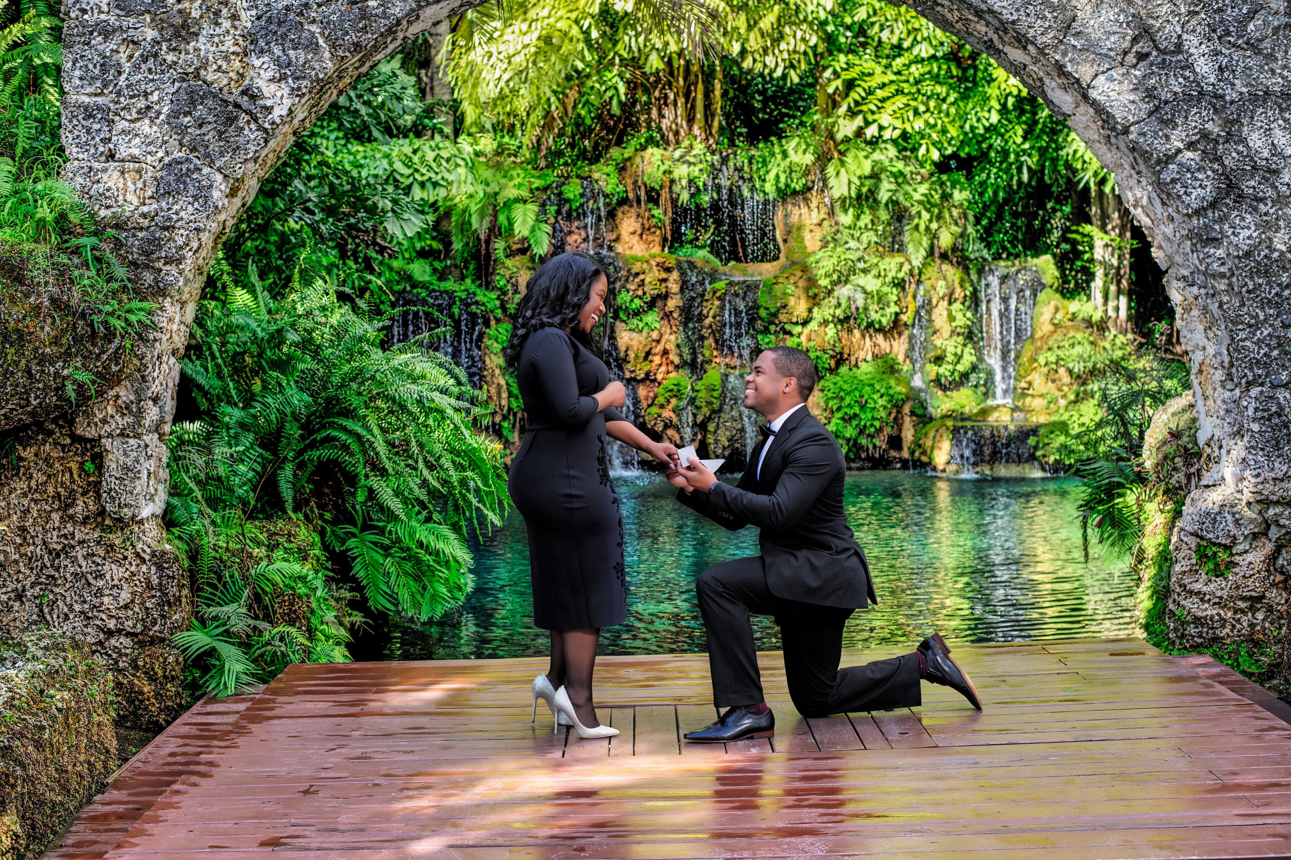The Wedding Website of Sashine Douillon and Patrick Eveillard