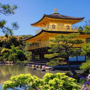 Visit Japan
