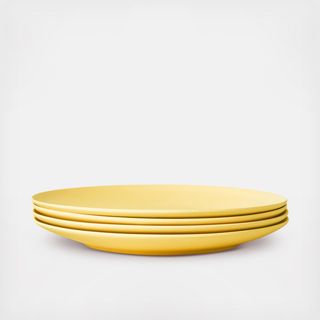 Palette Dinner Plate, Set of 4