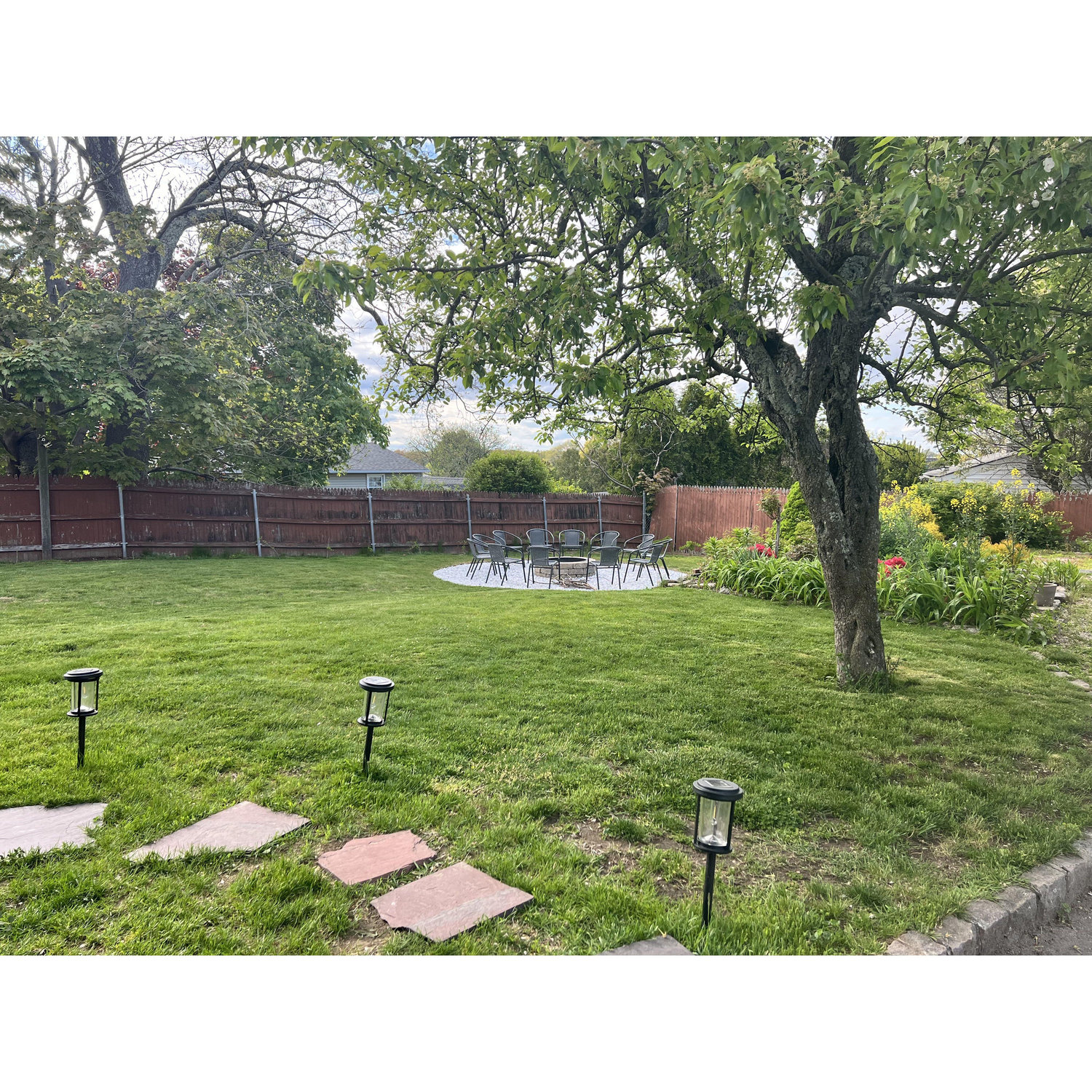 We’ll be renewing our vows, right under this tree in our backyard! It blooms in May and it is absolutely breathtaking!