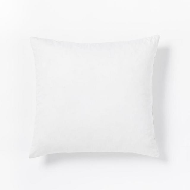 Down Alternative Insert, White, 24"x24", Set of 2