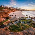 la Jolla Shores Beach
