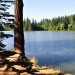 Lacamas Park