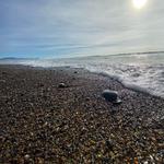 Lincoln City Beach Access