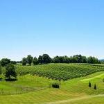 Wineries and Breweries