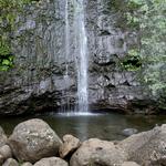 Manoa Falls