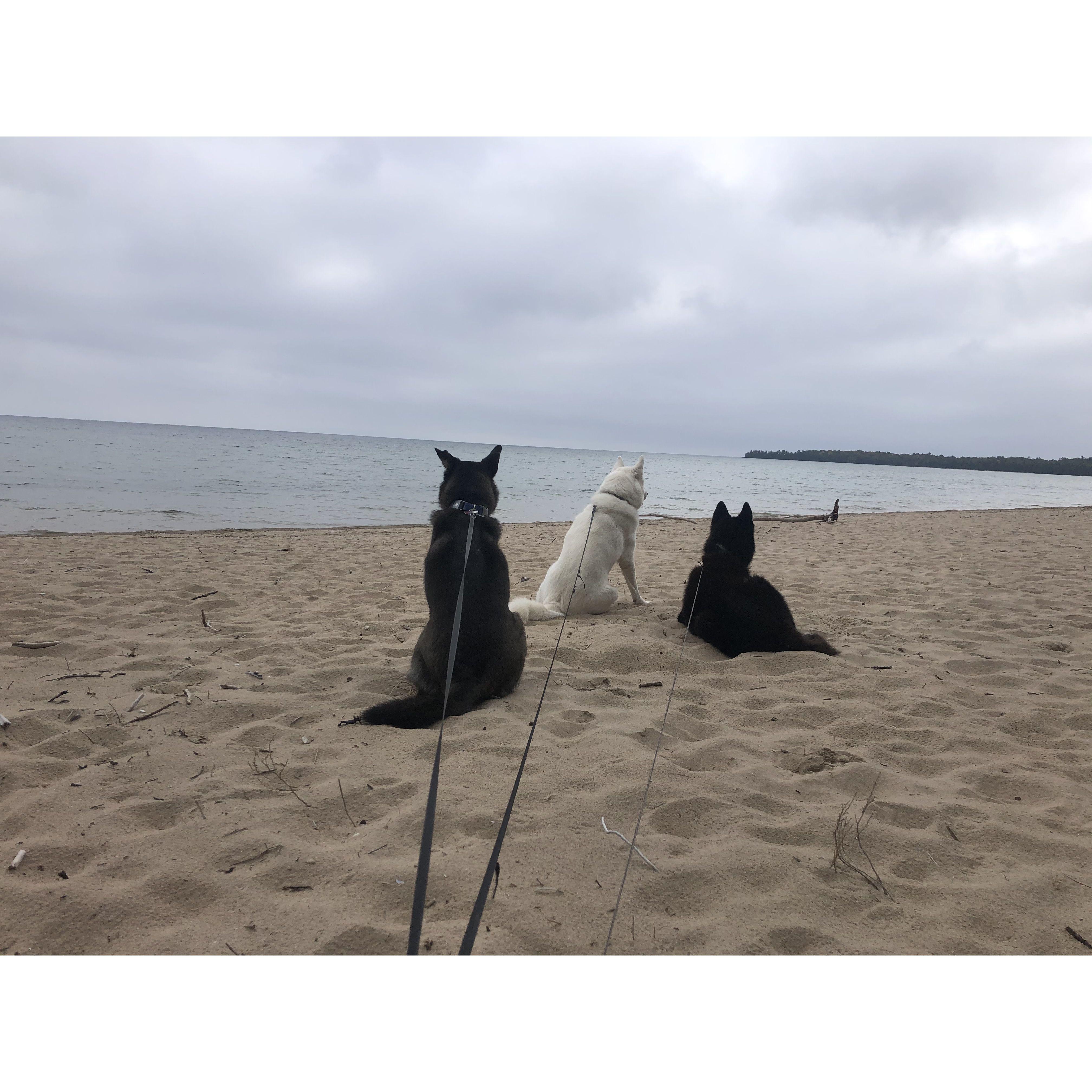 Lake Michigan (James is swimming in the lake, it was October!) - Door County, WI