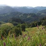Go Hiking