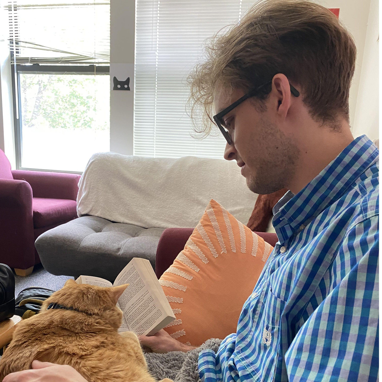 Sam earned the affections of Zoe's 3-legged cat, Lu. The greenest of green flags!