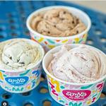Amy's Ice Creams