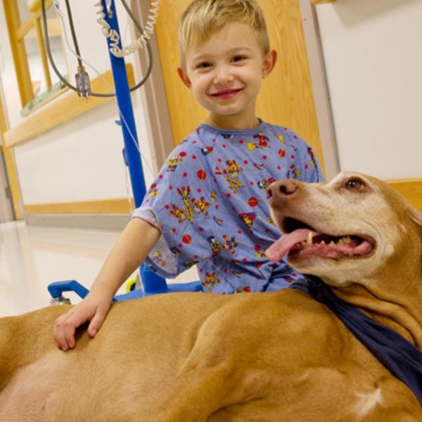 Donate to Pet, Music, Arts Therapy at Children's Hospital of Philadelphia