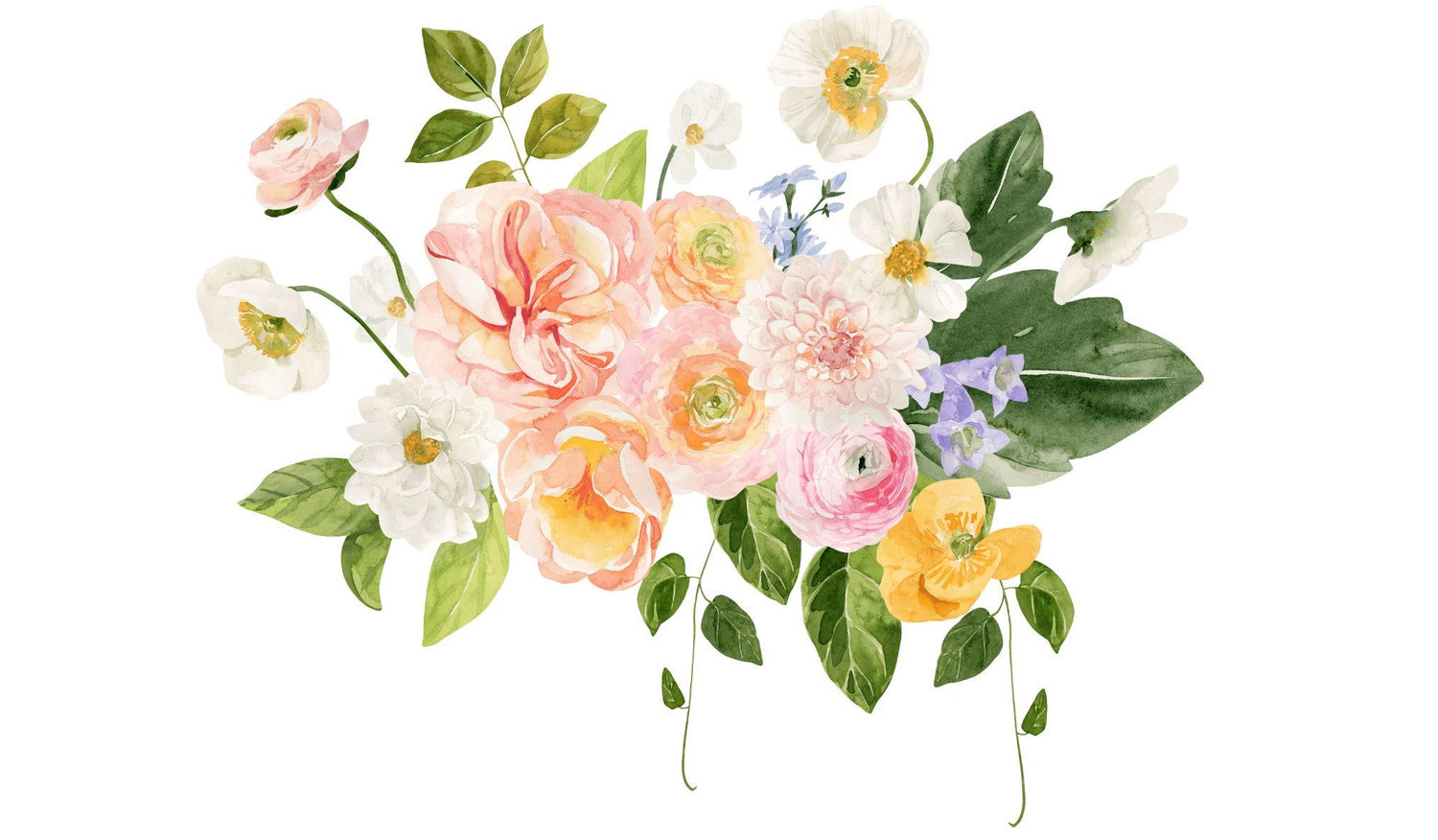Footer image