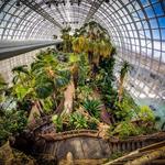 Myriad Botanical Gardens