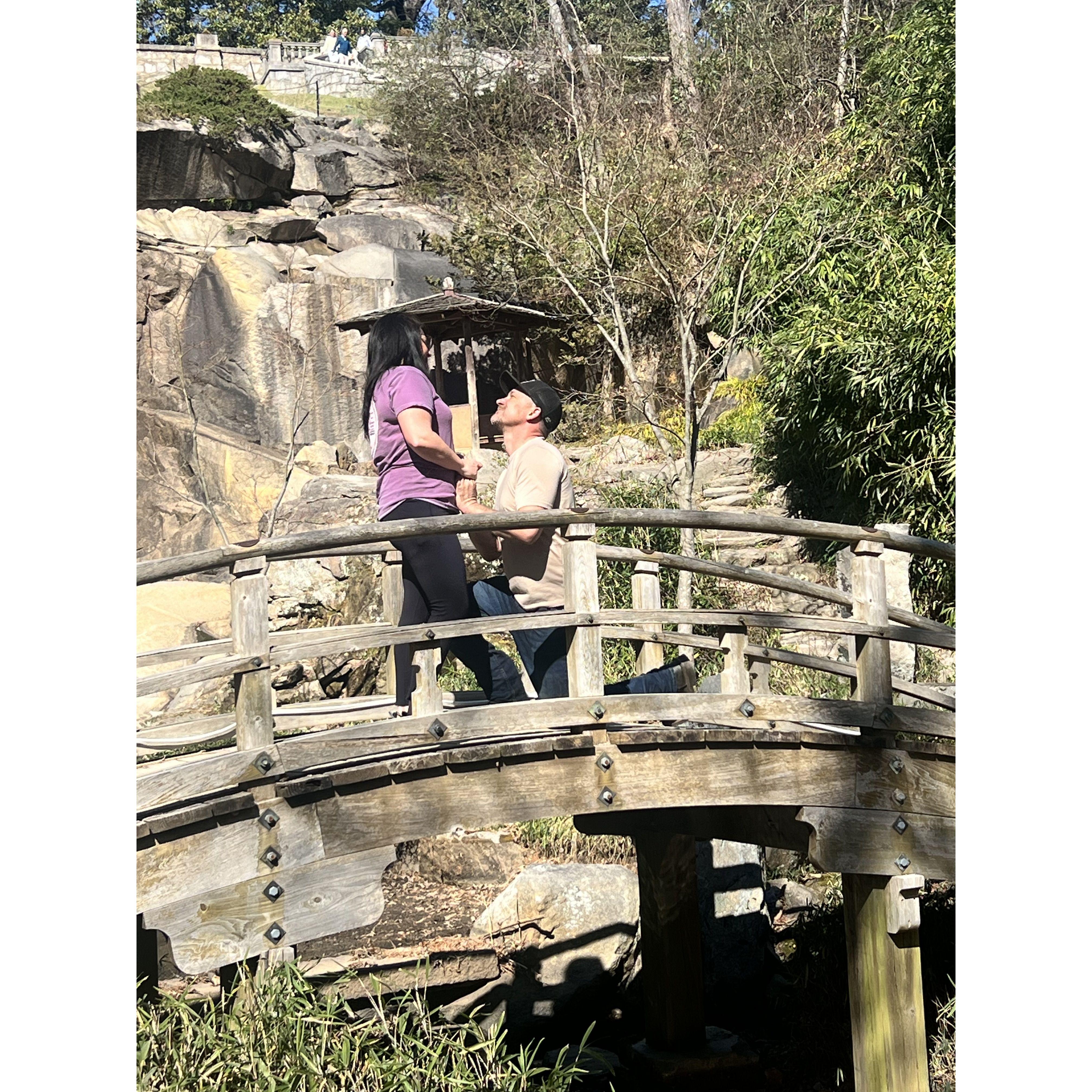 The best day! The day Rickey asked me to spend forever with him! Maymont Park March 9, 2025