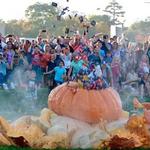 Stillwater Harvest Fest