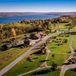Anyela's Vineyards