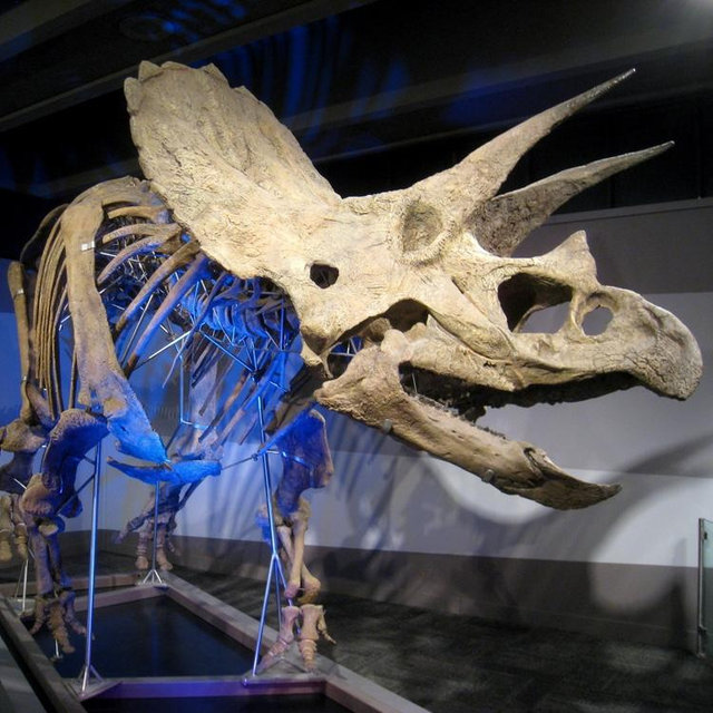 Museum of Science Tickets