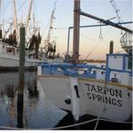 Tarpon Springs Sponge Docks