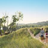 Saugatuck Harbor Natural Area