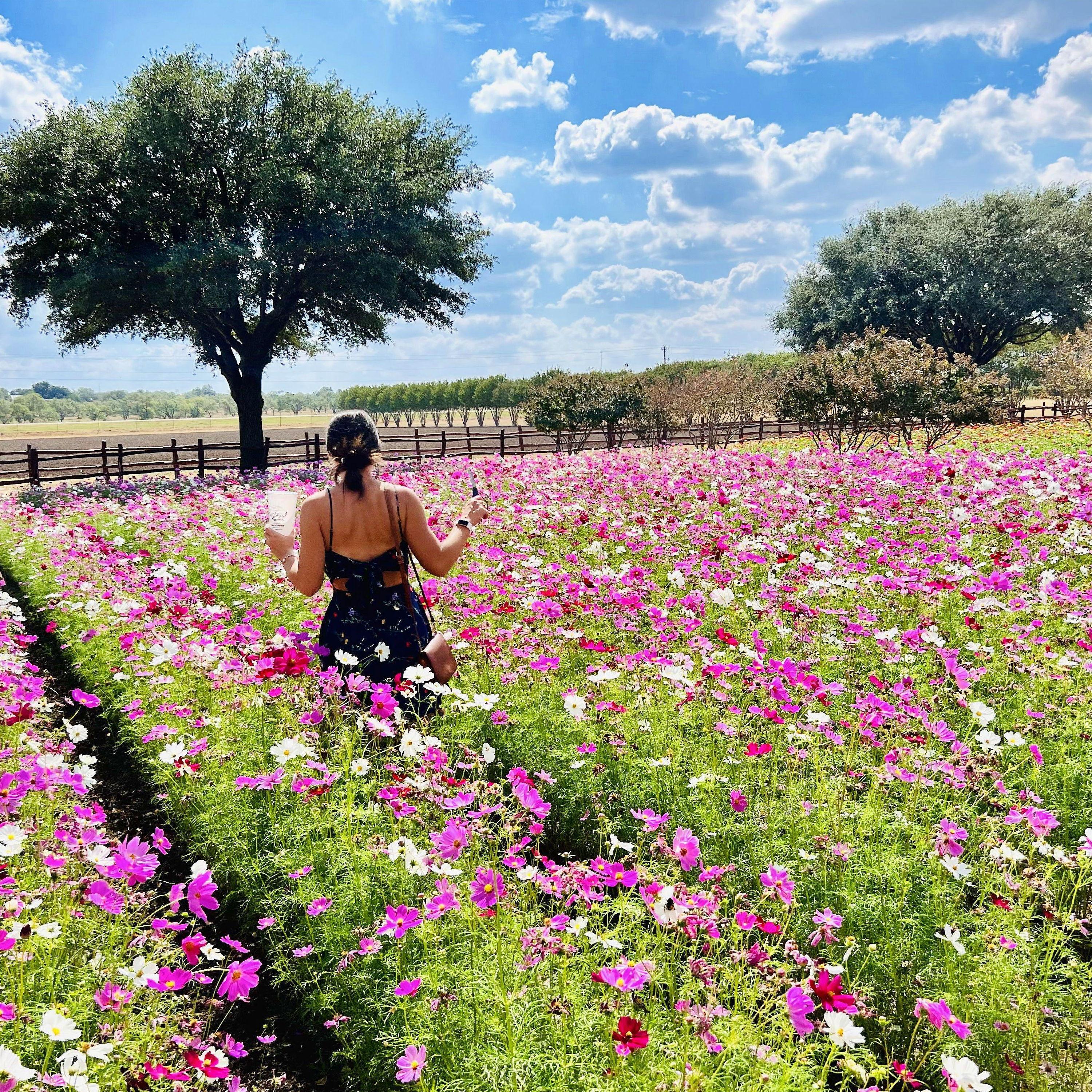 Fredericksburg, Texas