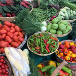 Pinecrest Gardens Farmer's Market