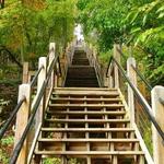 Mount Baldhead Park