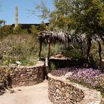 Arizona-Sonora Desert Museum