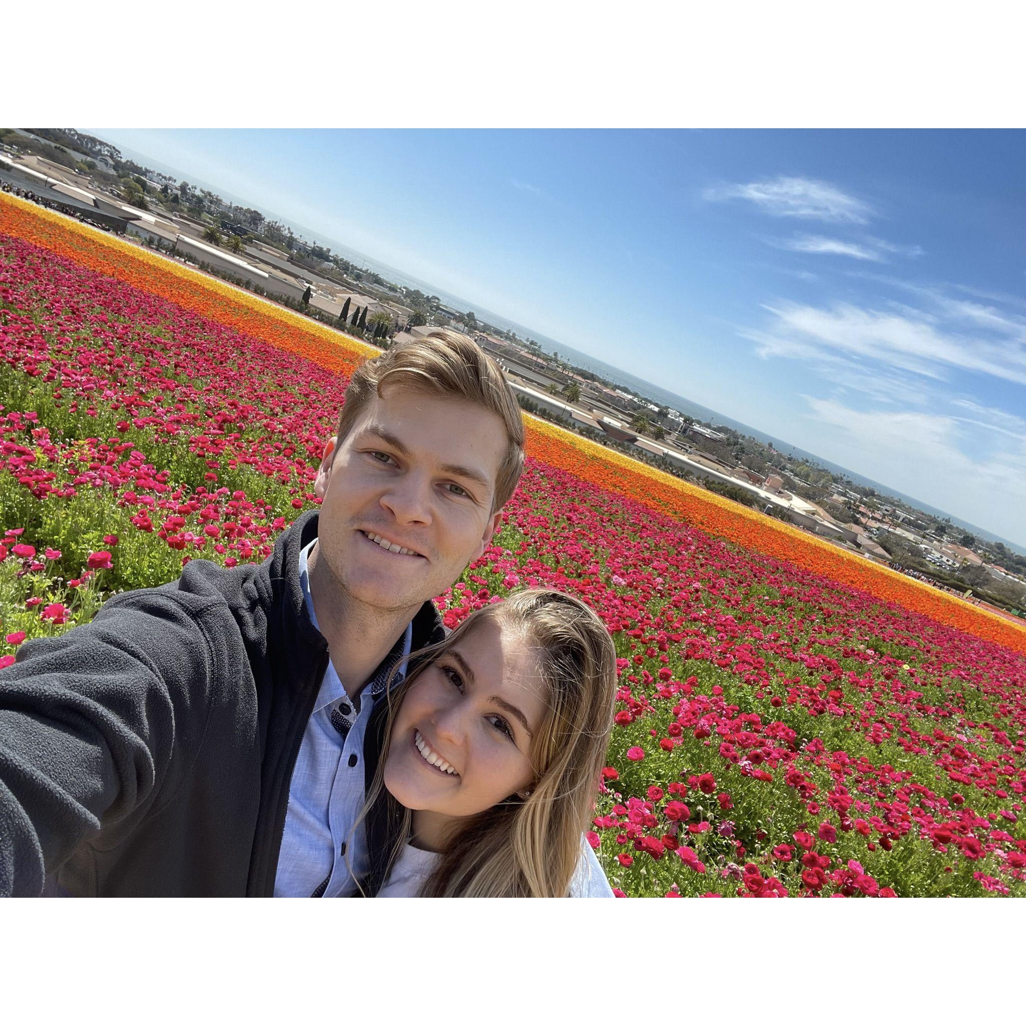 Carlsbad Flower Fields (2023)