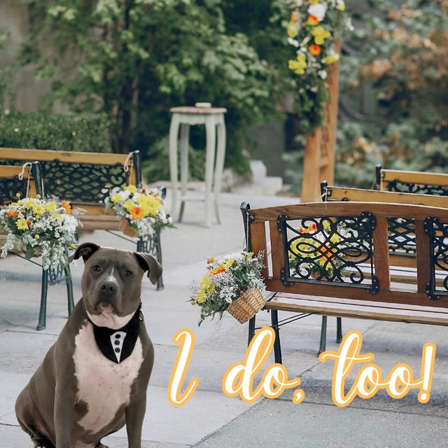 Rip’s Good Boy Fund.
