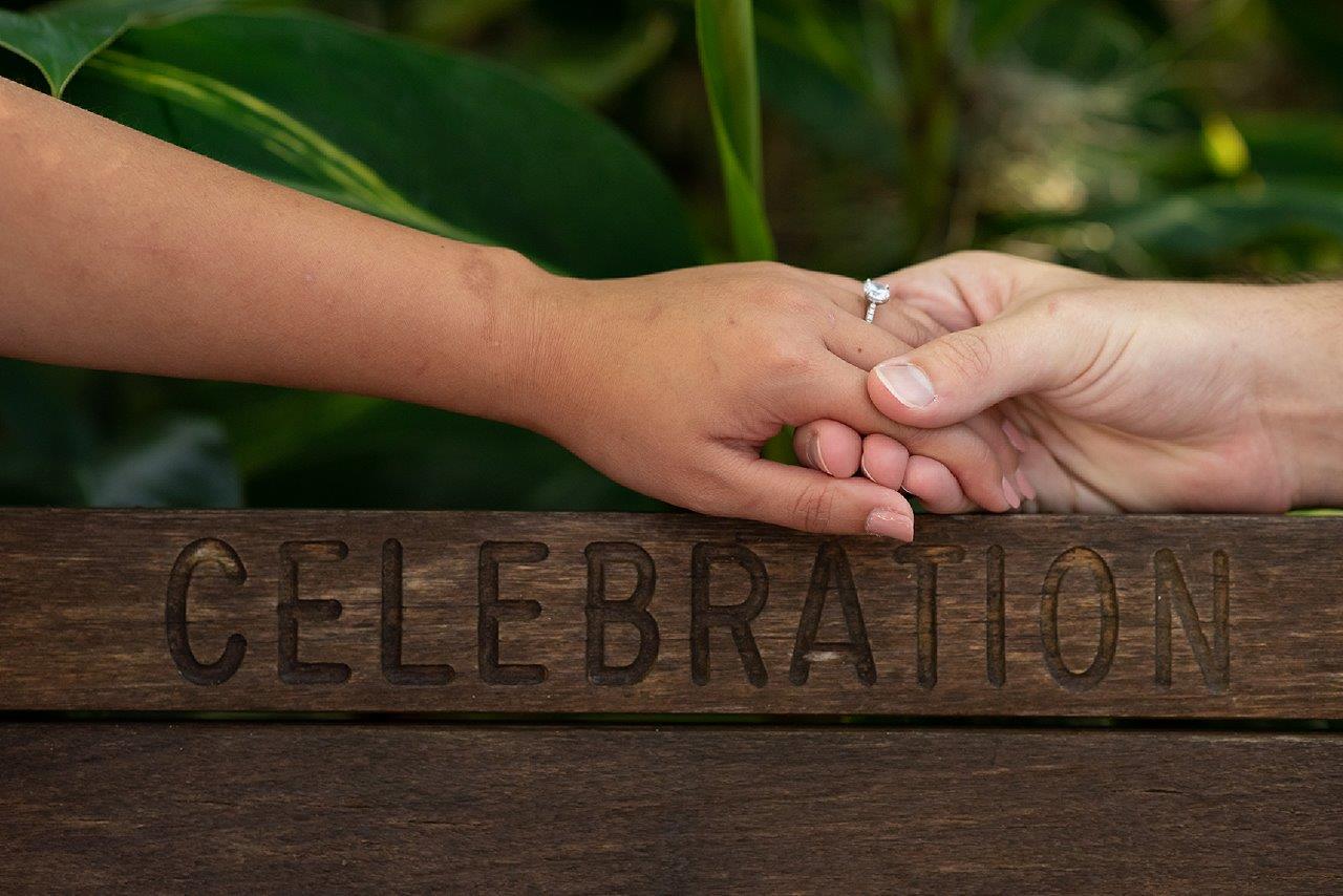 The Wedding Website of Veronica Aiu and Andrew Todd