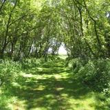 Kishwauketoe Nature Conservancy