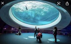 Frost Science Museum