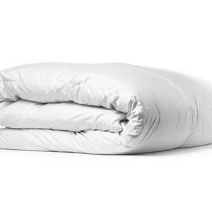 Down Duvet