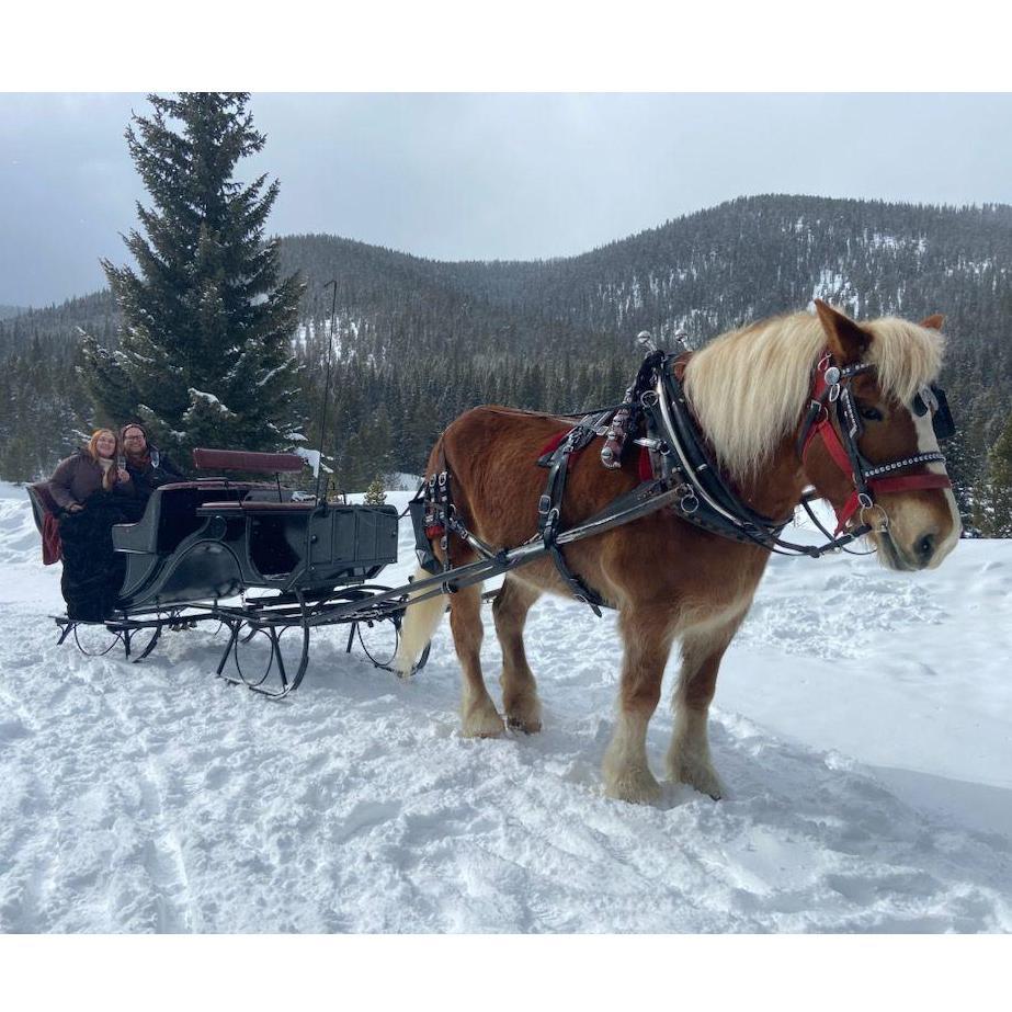 Our horse and carriage ride where Alex asked Ashley to marry him