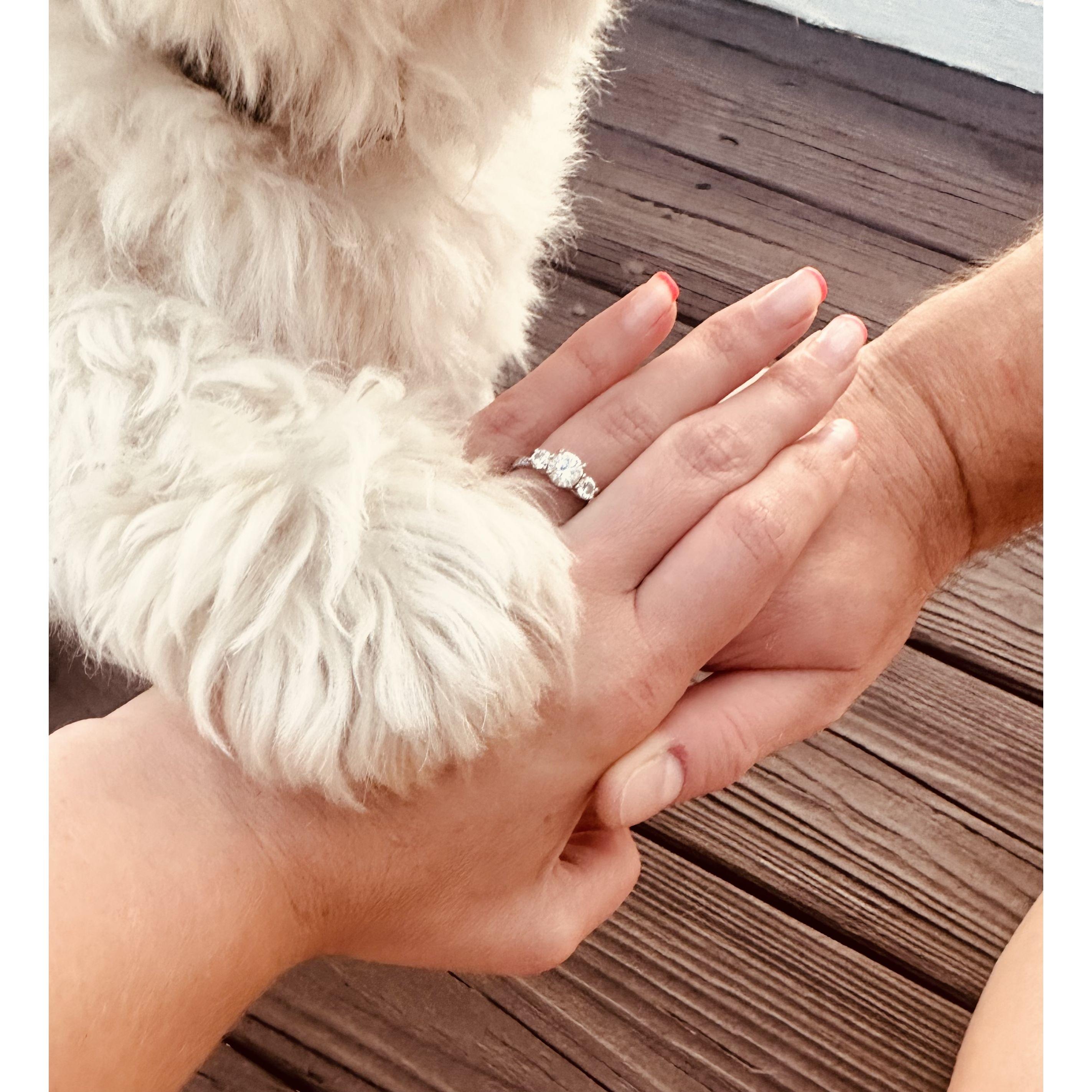 Nova was 'paws in' on our engagement