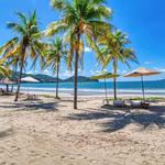Lounge on the Beaches