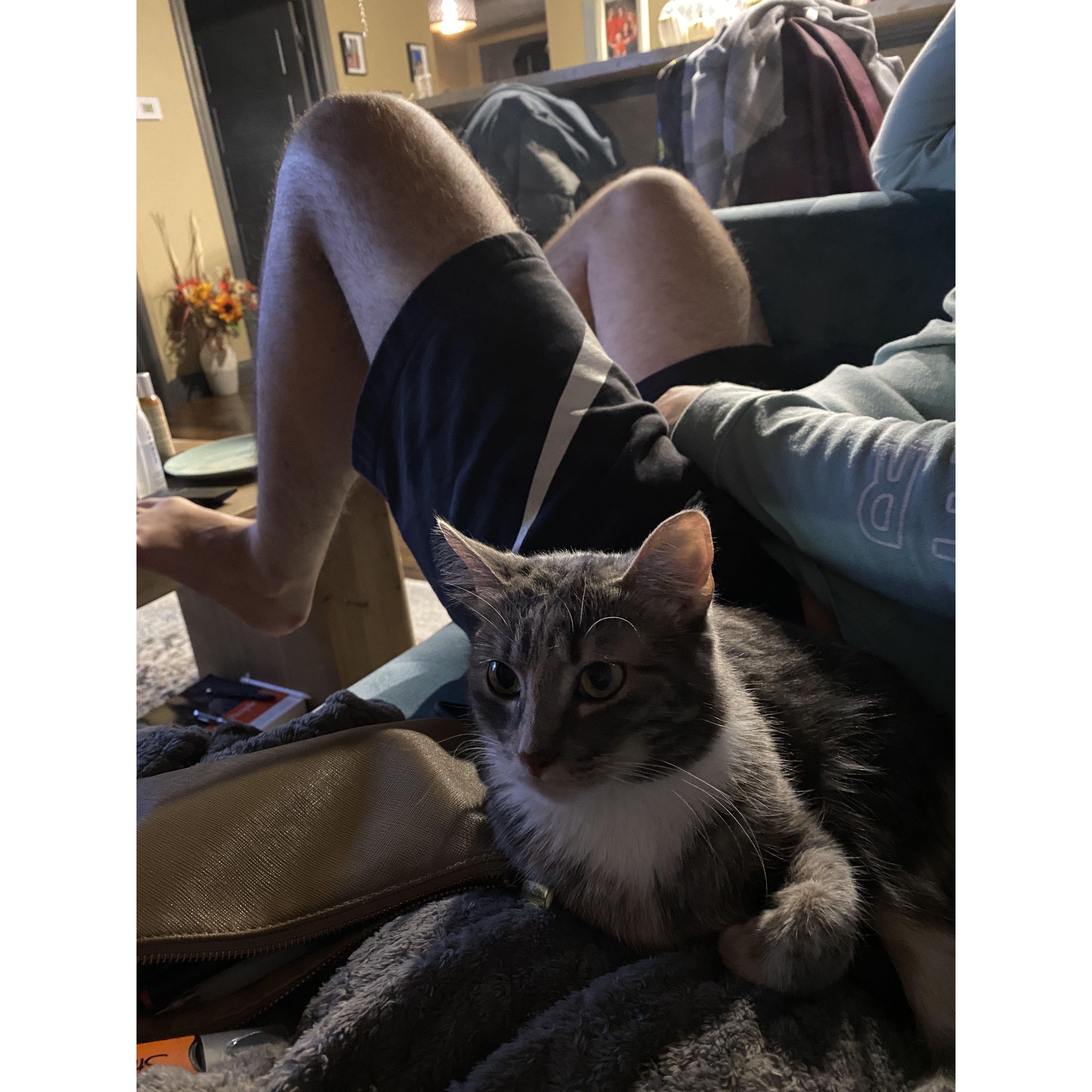 Our first pet together! We love you Mocha!