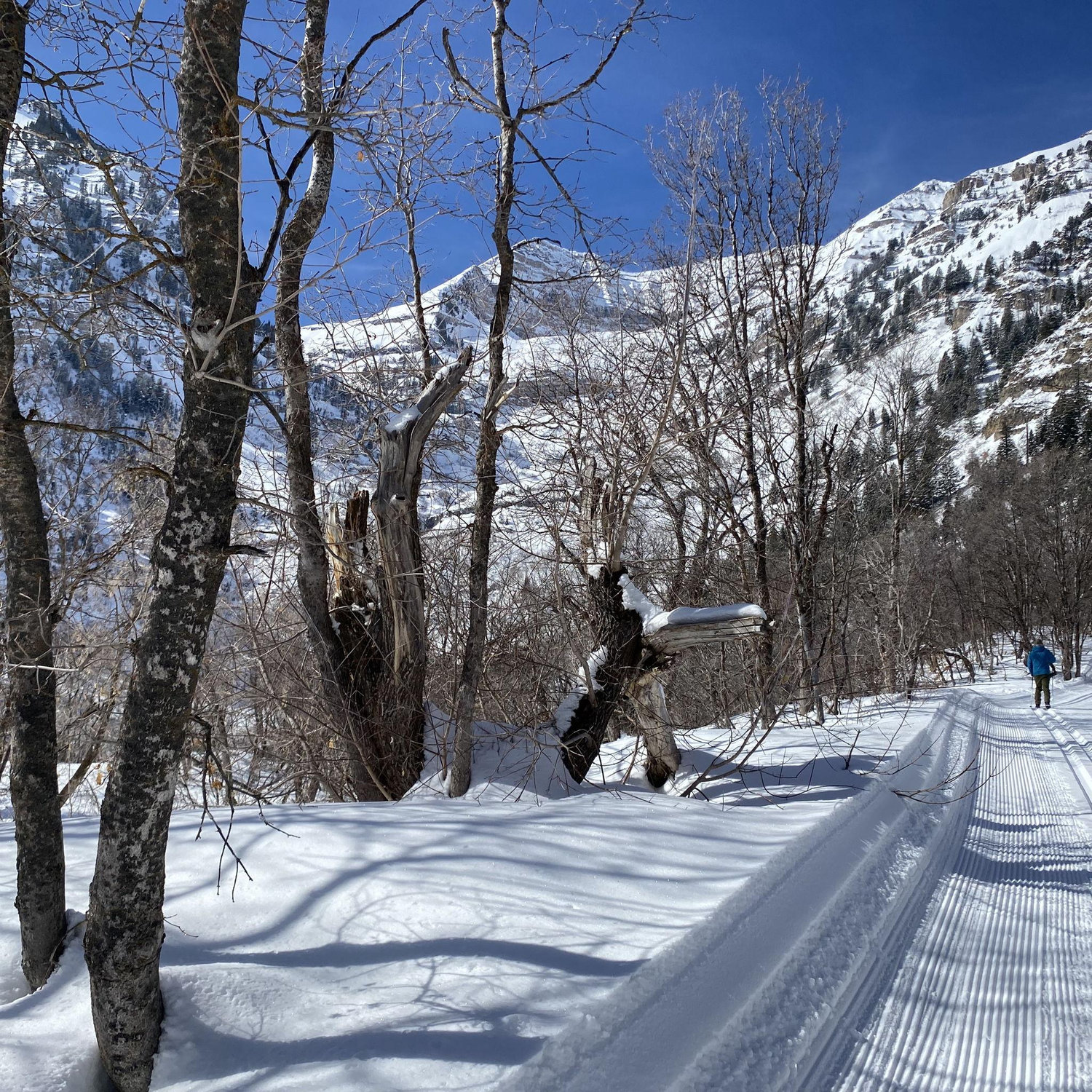 Xc skiing in UT