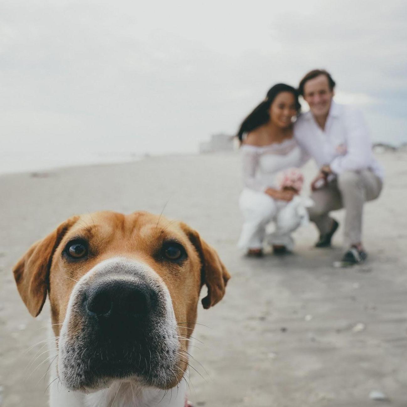 Our Wedding: we photobombed Butter