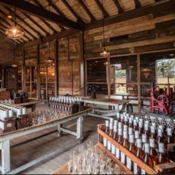 Ron Del Barrilito Rum Tour