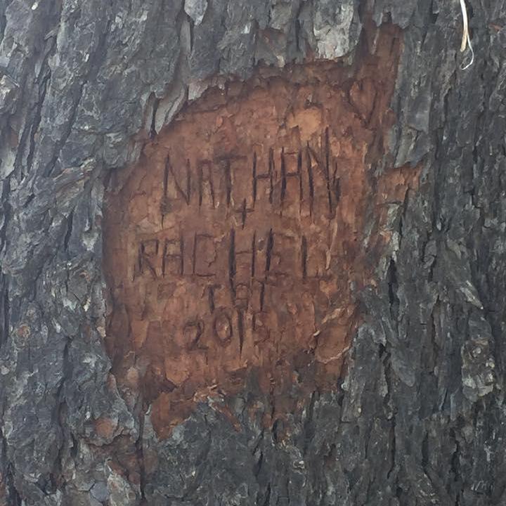 Tree near our first date. Nathan carved it for our one year anniversary.