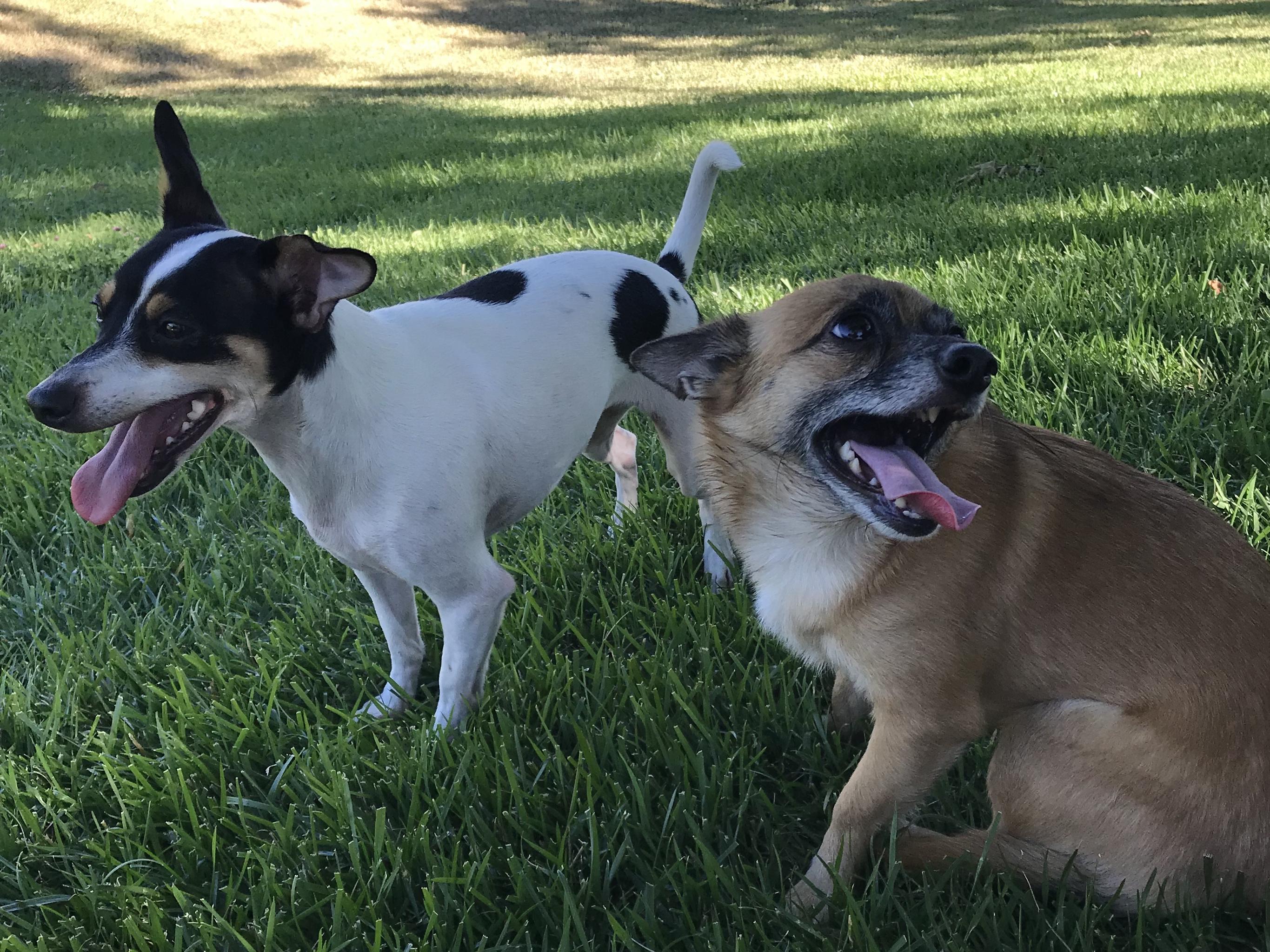 The Wedding Website of Sierra Hamling and Anthony Servera