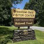 Brasstown Bald