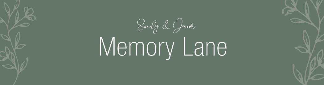 The Wedding Website of Sandy Moran and Junior Rosario