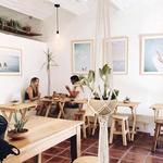 MISCELANEA SAYULITA