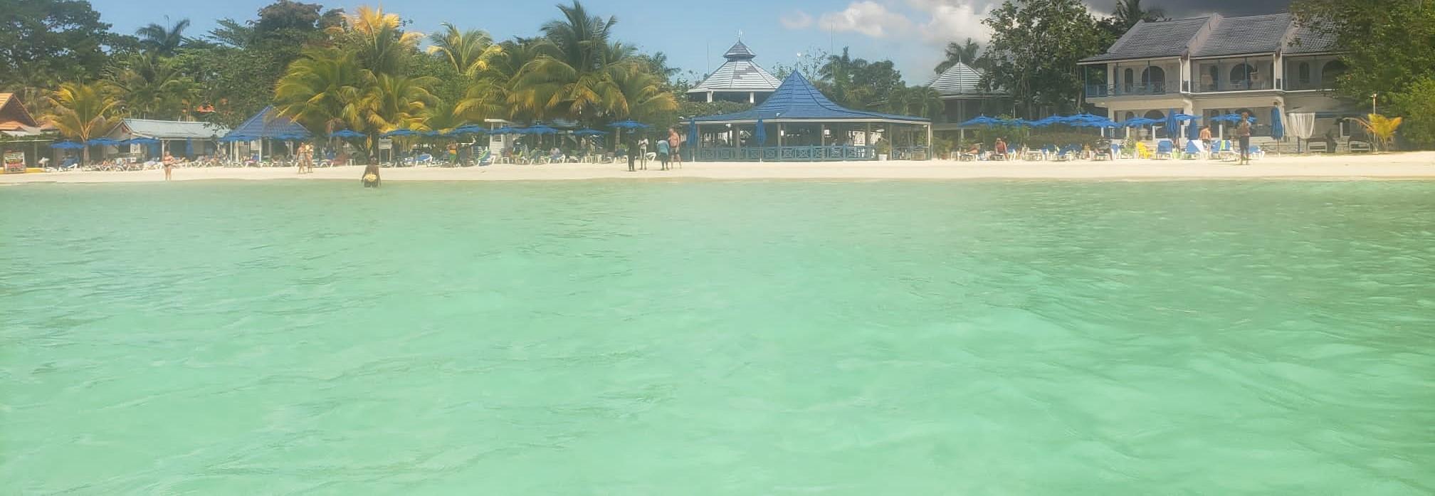 The Wedding Website of Jacqueline Carrington and Andre' Carrington