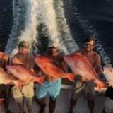 Captain Experiences Fishing Charters