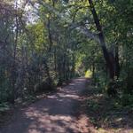 Oak Park