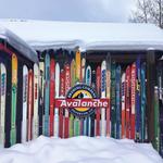 Avalanche Brewing Company