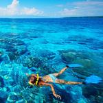 Sea Adventures